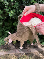 Digital Download Rat Tote Bag Crochet Pattern
